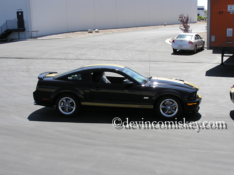 dcomiskey2006GT350-H-17