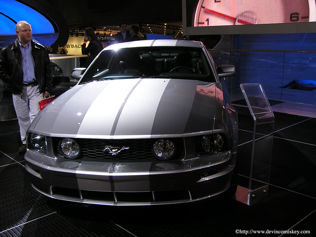 showimages/Ford/Mustang2005-1.jpg, 268.2K